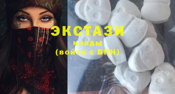 СК Богородицк