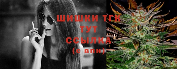 СК Богородицк