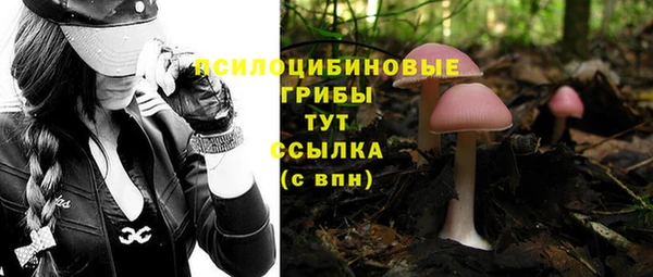 меф Богданович