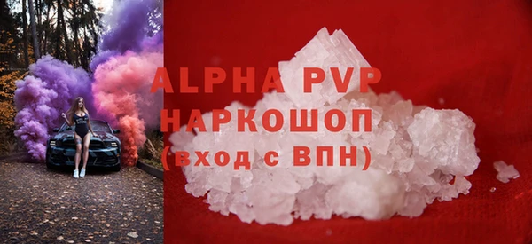 СК Богородицк