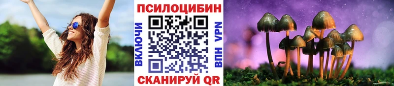Псилоцибиновые грибы Psilocybe  MEGA ТОР  Надым 