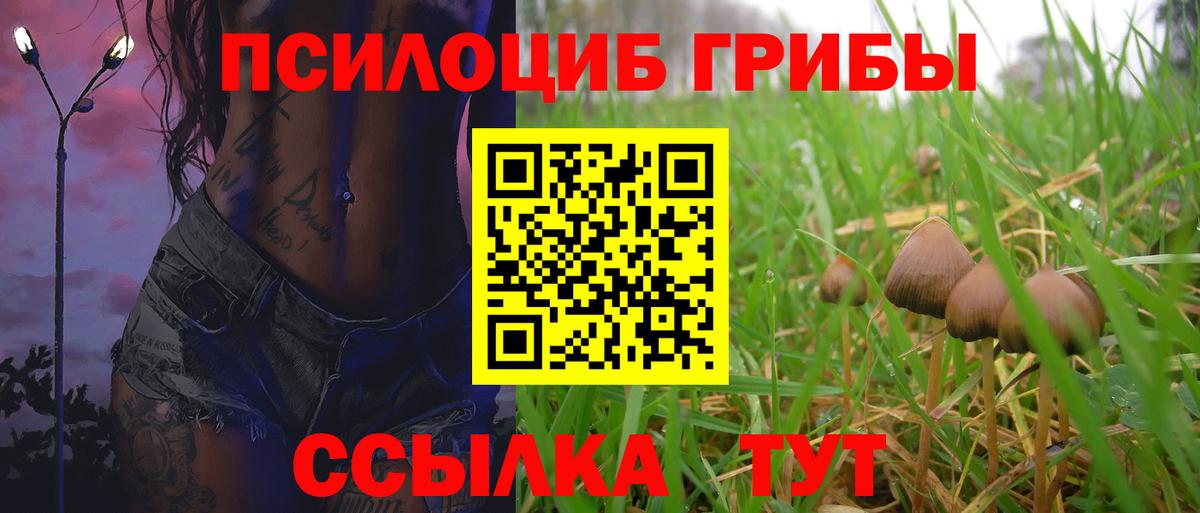 Псилоцибиновые грибы Magic Shrooms  Вход с VPN  Надым  Галлюциногенные грибы прущие грибы 